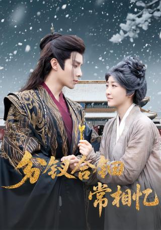 短剧分钗合钿常相忆海报