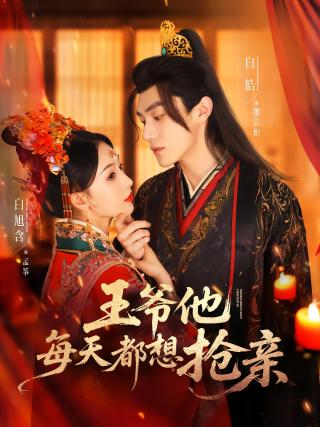 短剧王爷他每天都想抢亲海报