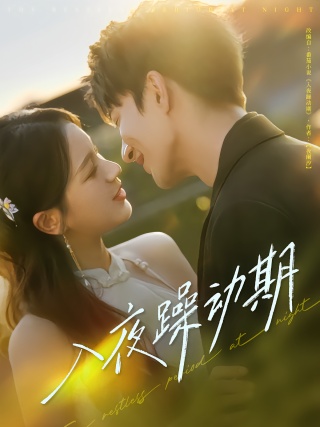 短剧入夜躁动期海报