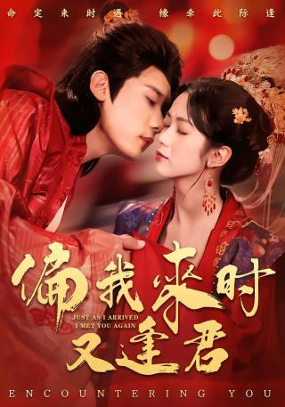 短剧偏我来时又逢君海报