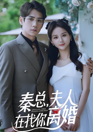 短剧秦总夫人在找你离婚海报