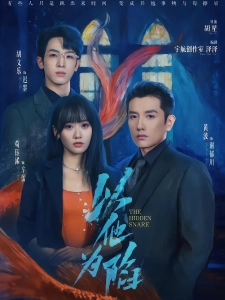 短剧以他为陷海报