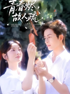 短剧青春烬，故人疏海报