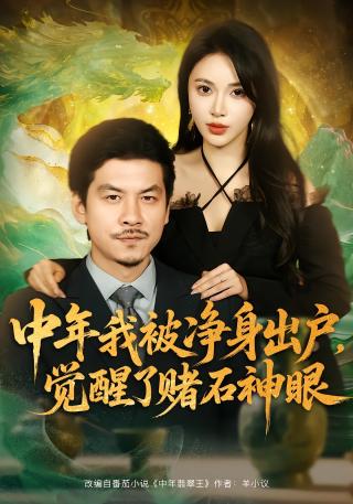 短剧中年我被净身出户，觉醒了赌石神眼海报