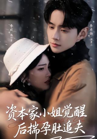 短剧资本家小姐觉醒后揣孕肚追夫海报