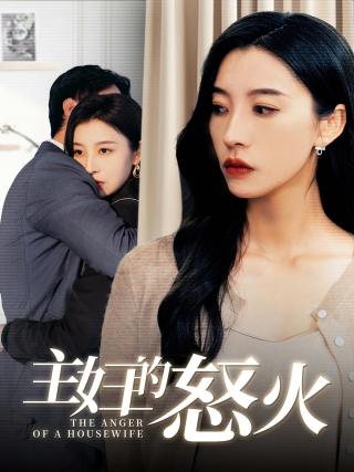 短剧主妇的怒火海报