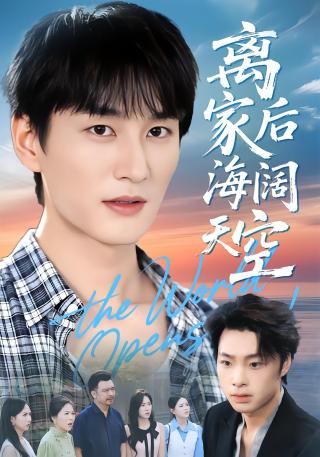短剧离家后海阔天空海报