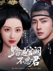 短剧踏遍宫阙不思君海报