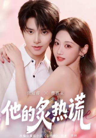 短剧他的炙热谎海报
