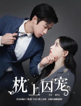 短剧枕上囚宠海报