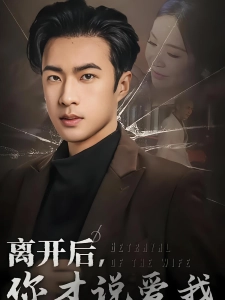 短剧离开后，你才说爱我海报