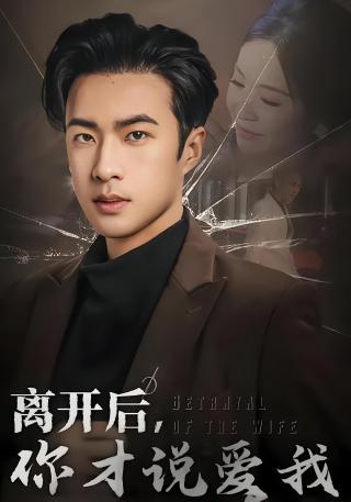 短剧离开后，你才说爱我海报