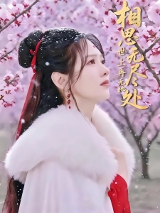 短剧相思无尽处世上再无她海报