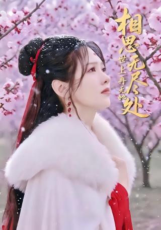 短剧相思无尽处世上再无她海报