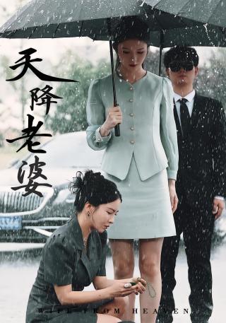 短剧天降老婆海报