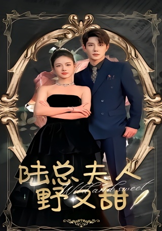 短剧陆总夫人野又甜海报