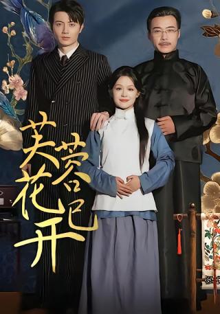 短剧芙蓉花已开海报