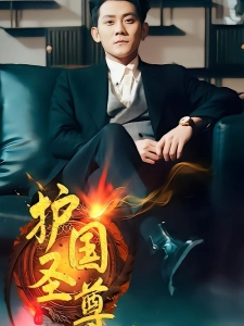 短剧护国圣尊海报