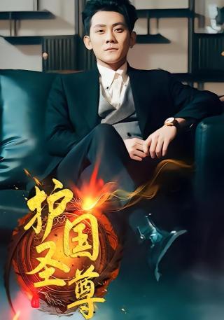 短剧护国圣尊海报