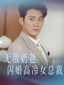 短剧无敌奶爸闪婚高冷女总裁海报