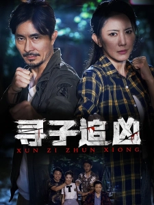 短剧寻子追凶海报