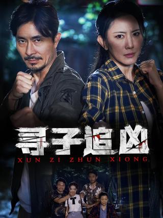 短剧寻子追凶海报