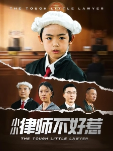 短剧小小律师不好惹海报