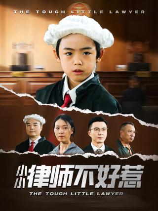 短剧小小律师不好惹海报