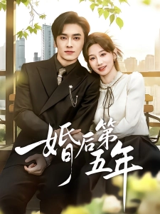 短剧婚后第五年海报