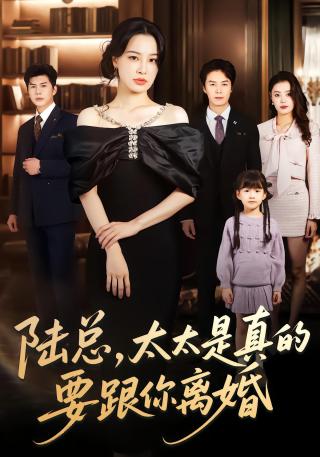 短剧陆总，太太是真的要跟你离婚海报