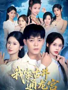 短剧我家古井通龙宫海报