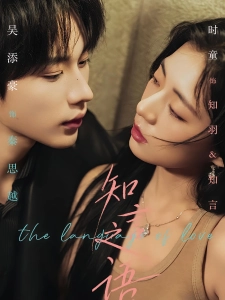 短剧知言之语海报