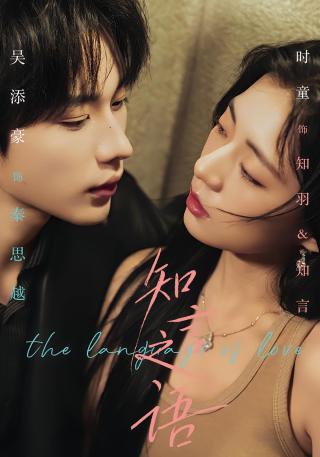 短剧知言之语海报