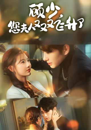 短剧顾少，您夫人又又又飞升了海报