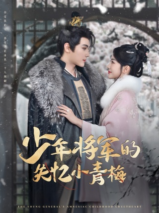 短剧少年将军的失忆小青梅海报