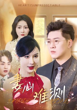 短剧妻心难测海报