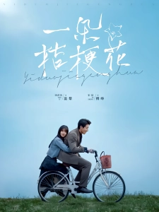 短剧一朵桔梗花海报