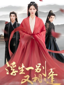 短剧浮生一别又相逢海报