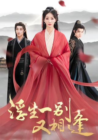 短剧浮生一别又相逢海报