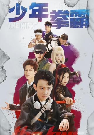 短剧少年拳霸海报