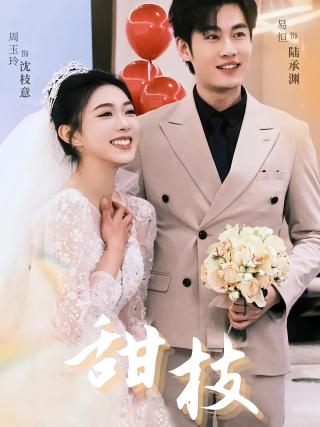 短剧甜枝海报