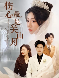 短剧伤心最是关山月海报