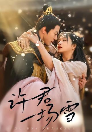 短剧许君一场雪海报