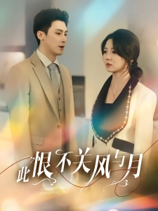 短剧此恨不关风与月海报