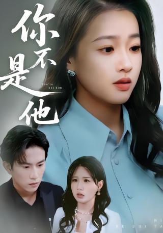 短剧你不是他海报