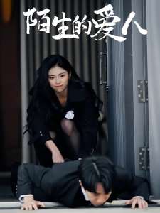 短剧陌生的爱人海报