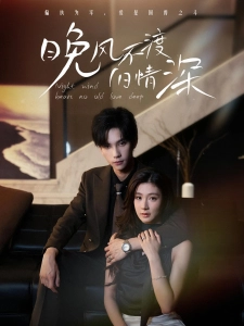 短剧晚风不渡旧情深海报