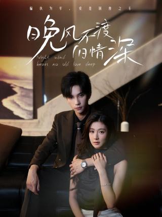 短剧晚风不渡旧情深海报