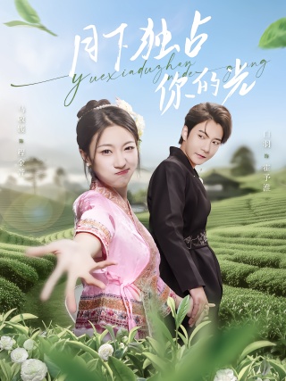 短剧月下独占你的光海报