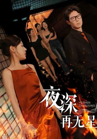 短剧夜深再无星海报